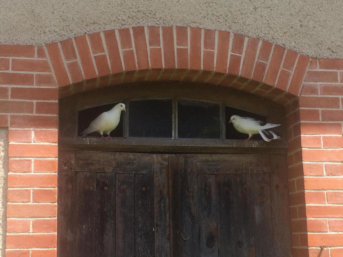 Maison De Vacances Cronat - Au Bord De L'Eurovelo 6 Exteriör bild